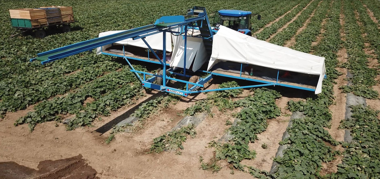 AGRO-LIFT Kombajn do ogórków - Sadonkorjuukone: kuva AGRO-LIFT Kombajn do ogórków - Sadonkorjuukone AGRO-LIFT Kombajn do ogórków - Sadonkorjuukone: kuva AGRO-LIFT Kombajn do ogórków - Sadonkorjuukone