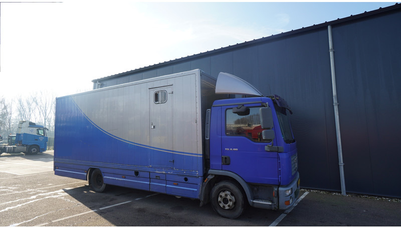 MAN TGL 8.180 HORSE TRANPORT 515.000KM - Hevosauto: kuva MAN TGL 8.180 HORSE TRANPORT 515.000KM - Hevosauto MAN TGL 8.180 HORSE TRANPORT 515.000KM - Hevosauto: kuva MAN TGL 8.180 HORSE TRANPORT 515.000KM - Hevosauto