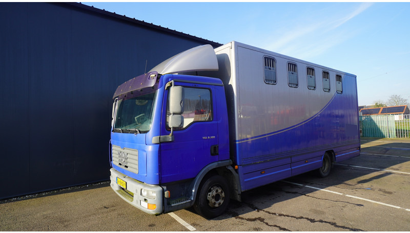 MAN TGL 8.180 HORSE TRANPORT 515.000KM - Hevosauto: kuva MAN TGL 8.180 HORSE TRANPORT 515.000KM - Hevosauto MAN TGL 8.180 HORSE TRANPORT 515.000KM - Hevosauto: kuva MAN TGL 8.180 HORSE TRANPORT 515.000KM - Hevosauto