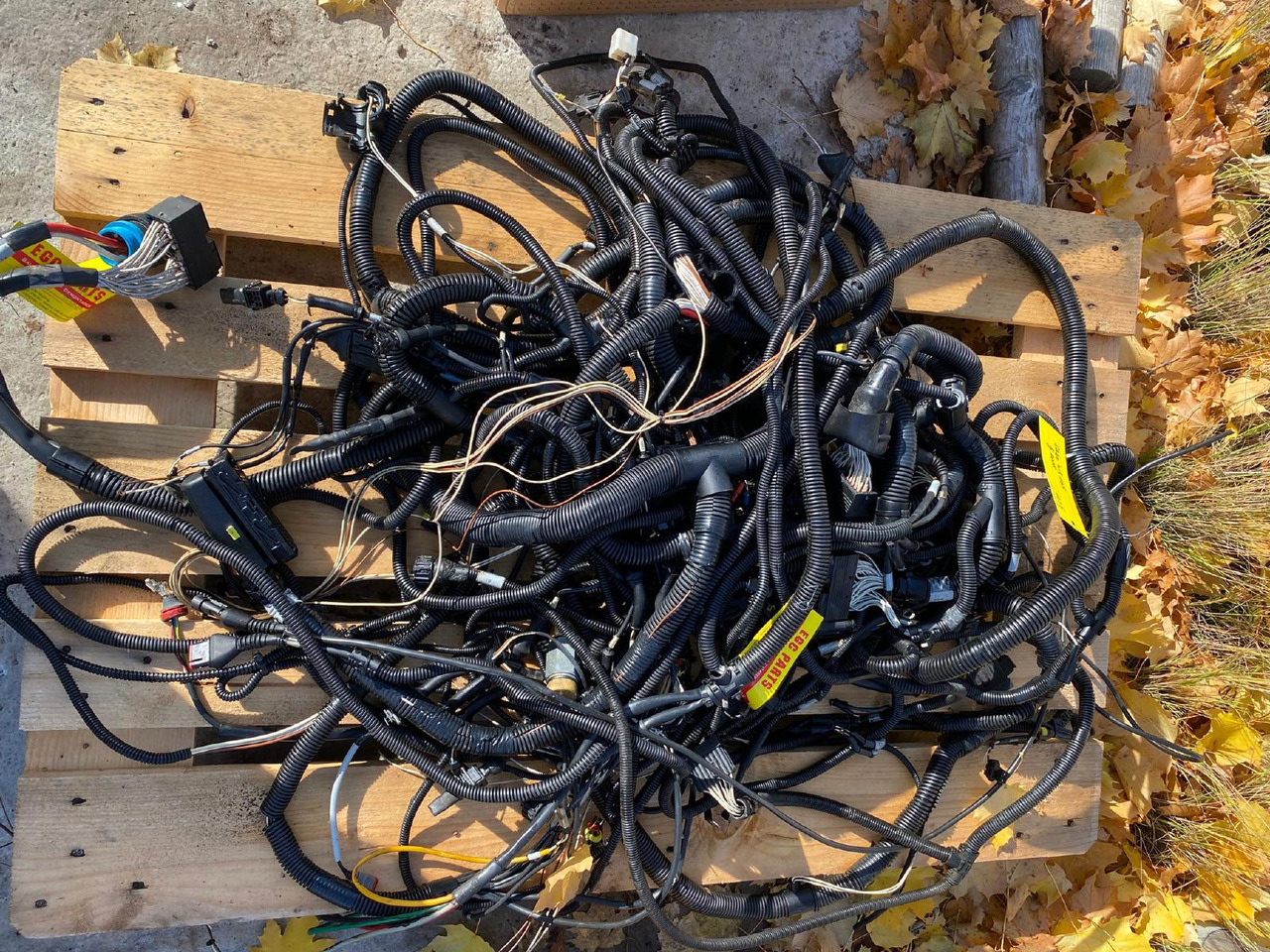 Case WX 165 - Kaapelit/ Johdot - Rakennuskoneet: kuva Case WX 165 - Kaapelit/ Johdot - Rakennuskoneet Case WX 165 - Kaapelit/ Johdot - Rakennuskoneet: kuva Case WX 165 - Kaapelit/ Johdot - Rakennuskoneet