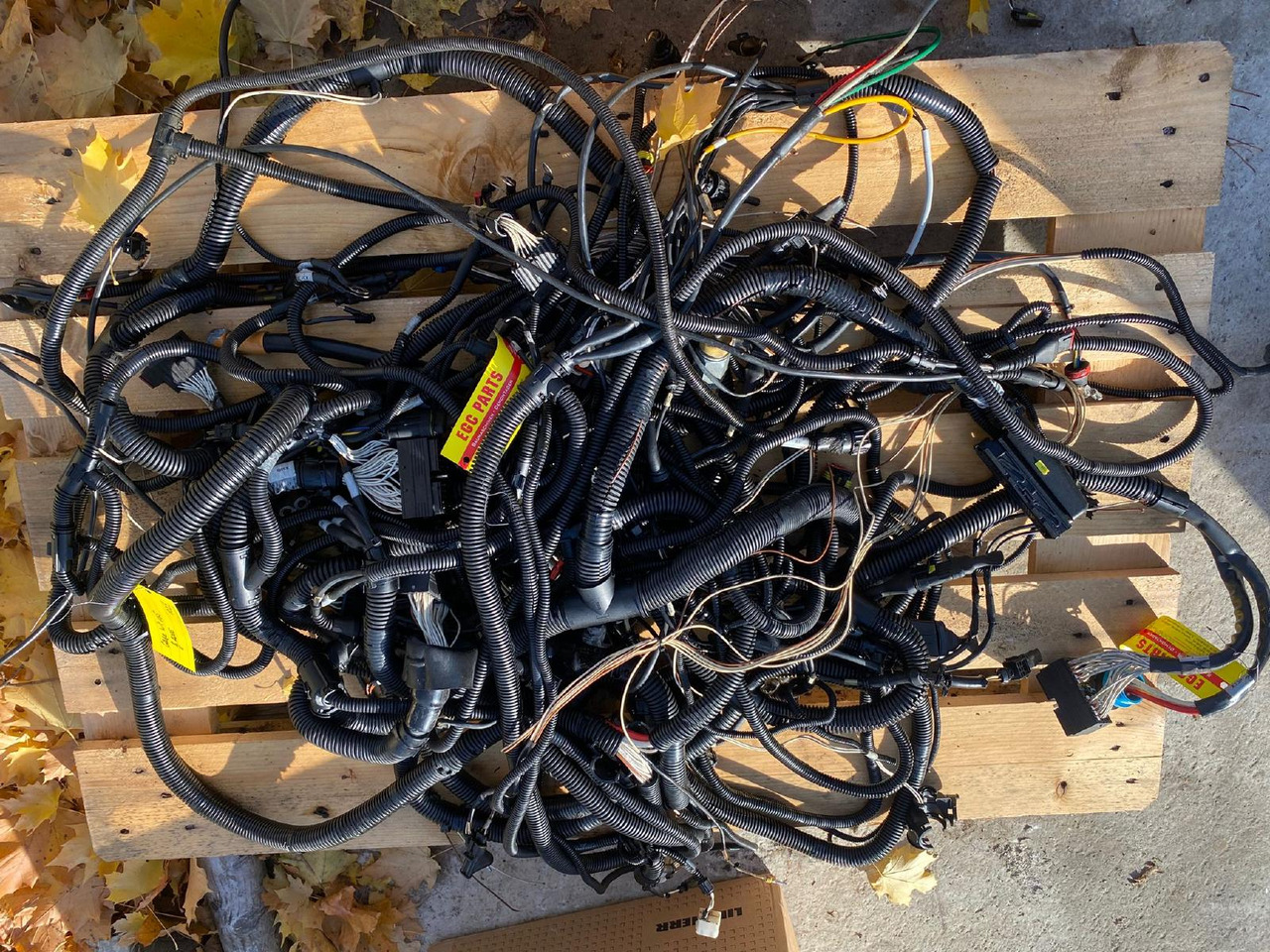 Case WX 165 - Kaapelit/ Johdot - Rakennuskoneet: kuva Case WX 165 - Kaapelit/ Johdot - Rakennuskoneet Case WX 165 - Kaapelit/ Johdot - Rakennuskoneet: kuva Case WX 165 - Kaapelit/ Johdot - Rakennuskoneet