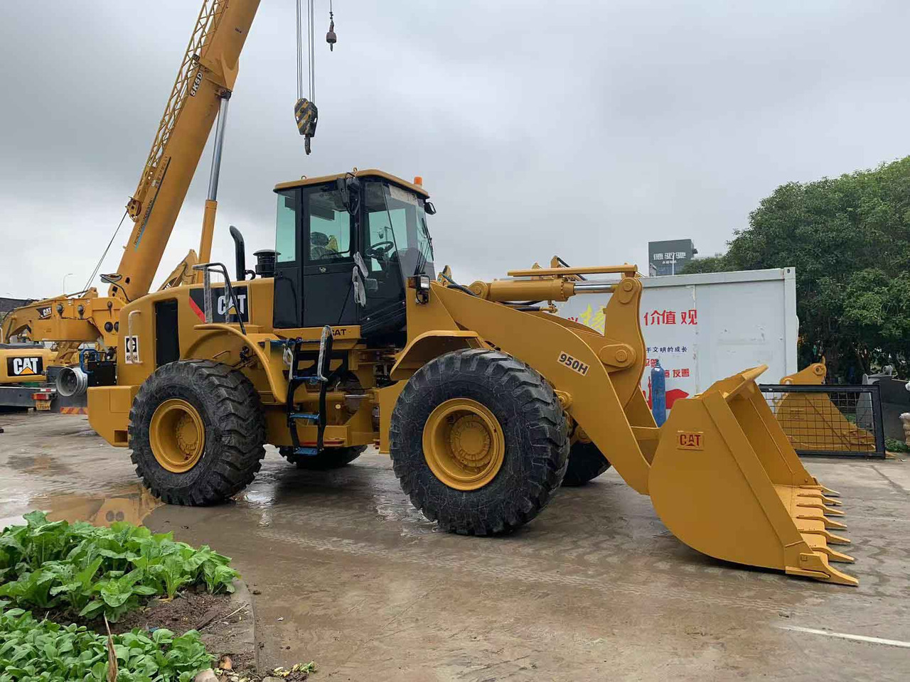 Caterpillar Wheel Loader CAT 950H, 950G Secondhand Condition - Pyöräkuormaaja: kuva Caterpillar Wheel Loader CAT 950H, 950G Secondhand Condition - Pyöräkuormaaja Caterpillar Wheel Loader CAT 950H, 950G Secondhand Condition - Pyöräkuormaaja: kuva Caterpillar Wheel Loader CAT 950H, 950G Secondhand Condition - Pyöräkuormaaja