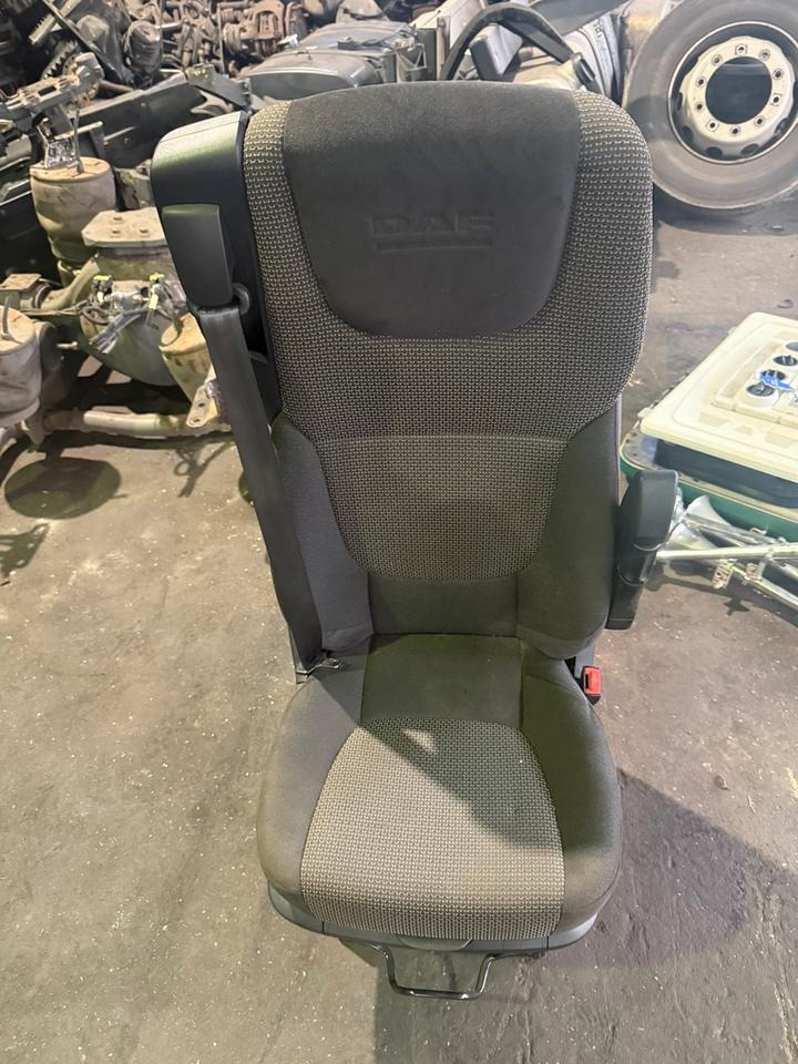 DAF XF 460 Euro6 Beifahrersitz - Istuin - Kuorma-auto: kuva DAF XF 460 Euro6 Beifahrersitz - Istuin - Kuorma-auto DAF XF 460 Euro6 Beifahrersitz - Istuin - Kuorma-auto: kuva DAF XF 460 Euro6 Beifahrersitz - Istuin - Kuorma-auto