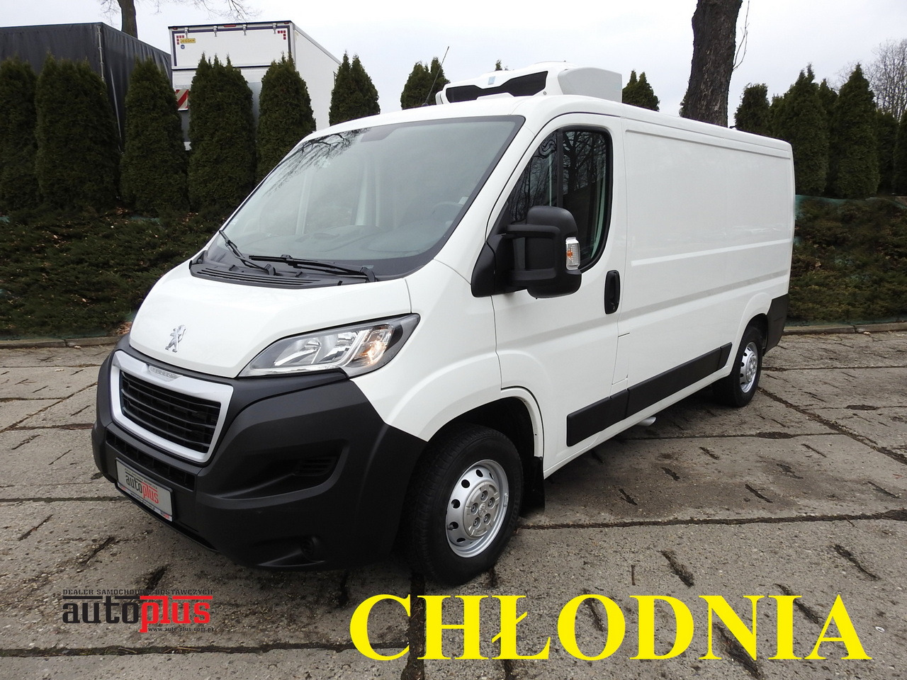 PEUGEOT BOXER REFRIGERATOR VAN -5*C TWO COMPARTMENTS CRUISE CONTROL AIR CONDITIONING 120HP - Kylmäauto: kuva PEUGEOT BOXER REFRIGERATOR VAN -5*C TWO COMPARTMENTS CRUISE CONTROL AIR CONDITIONING 120HP - Kylmäauto PEUGEOT BOXER REFRIGERATOR VAN -5*C TWO COMPARTMENTS CRUISE CONTROL AIR CONDITIONING 120HP - Kylmäauto: kuva PEUGEOT BOXER REFRIGERATOR VAN -5*C TWO COMPARTMENTS CRUISE CONTROL AIR CONDITIONING 120HP - Kylmäauto