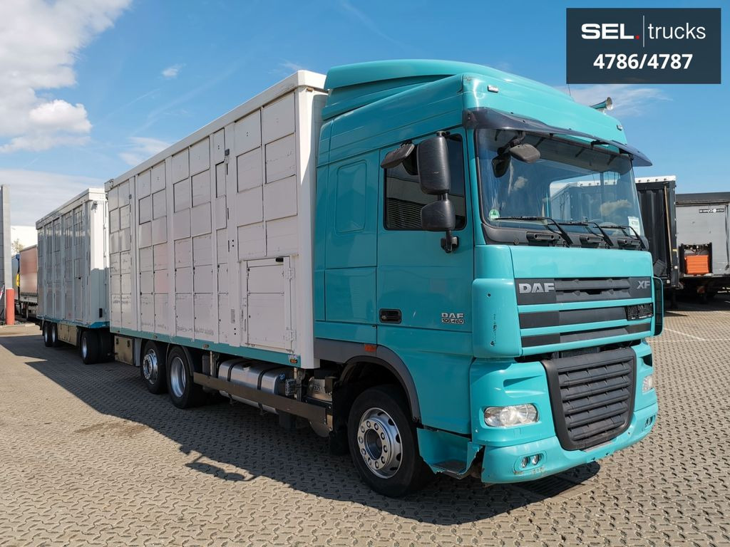 DAF XF 105.460 / Intarder / 4 Stock / KOMPLETT ! - Eläinten kuljetus kuorma-auto: kuva DAF XF 105.460 / Intarder / 4 Stock / KOMPLETT ! - Eläinten kuljetus kuorma-auto DAF XF 105.460 / Intarder / 4 Stock / KOMPLETT ! - Eläinten kuljetus kuorma-auto: kuva DAF XF 105.460 / Intarder / 4 Stock / KOMPLETT ! - Eläinten kuljetus kuorma-auto