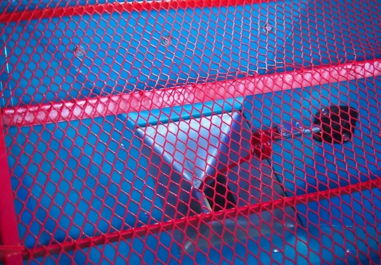 Lannoitteenlevitin Rozsiewacz nawozów Sulky  2000: kuva Lannoitteenlevitin Rozsiewacz nawozów Sulky  2000