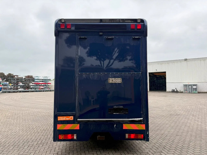 Mercedes-Benz Atego 1223 / ENGINE RUNNING / ONLY:159450 KM / HORSETRUCK / HEATED BOX / WATERTANK / LIVING ROOM / EURO-2 / MANUAL / 1998 - Hevosauto: kuva Mercedes-Benz Atego 1223 / ENGINE RUNNING / ONLY:159450 KM / HORSETRUCK / HEATED BOX / WATERTANK / LIVING ROOM / EURO-2 / MANUAL / 1998 - Hevosauto Mercedes-Benz Atego 1223 / ENGINE RUNNING / ONLY:159450 KM / HORSETRUCK / HEATED BOX / WATERTANK / LIVING ROOM / EURO-2 / MANUAL / 1998 - Hevosauto: kuva Mercedes-Benz Atego 1223 / ENGINE RUNNING / ONLY:159450 KM / HORSETRUCK / HEATED BOX / WATERTANK / LIVING ROOM / EURO-2 / MANUAL / 1998 - Hevosauto