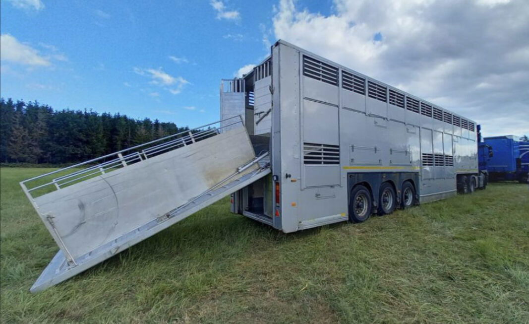 Gray and Adams Gadd3 / Works Great / Hydraulic / 2 Levels - Eläinten kuljetus puoliperävaunu: kuva Gray and Adams Gadd3 / Works Great / Hydraulic / 2 Levels - Eläinten kuljetus puoliperävaunu Gray and Adams Gadd3 / Works Great / Hydraulic / 2 Levels - Eläinten kuljetus puoliperävaunu: kuva Gray and Adams Gadd3 / Works Great / Hydraulic / 2 Levels - Eläinten kuljetus puoliperävaunu
