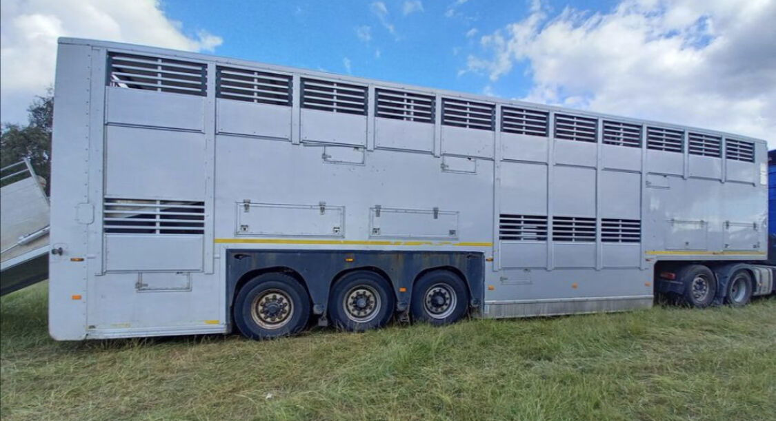 Gray and Adams Gadd3 / Works Great / Hydraulic / 2 Levels - Eläinten kuljetus puoliperävaunu: kuva Gray and Adams Gadd3 / Works Great / Hydraulic / 2 Levels - Eläinten kuljetus puoliperävaunu Gray and Adams Gadd3 / Works Great / Hydraulic / 2 Levels - Eläinten kuljetus puoliperävaunu: kuva Gray and Adams Gadd3 / Works Great / Hydraulic / 2 Levels - Eläinten kuljetus puoliperävaunu