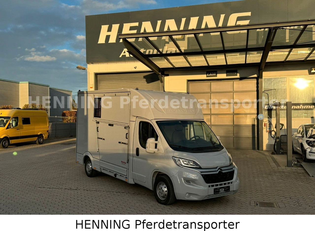 Citroën Jumper 3 - Sitzer - Eläinten kuljetus kuorma-auto: kuva Citroën Jumper 3 - Sitzer - Eläinten kuljetus kuorma-auto Citroën Jumper 3 - Sitzer - Eläinten kuljetus kuorma-auto: kuva Citroën Jumper 3 - Sitzer - Eläinten kuljetus kuorma-auto