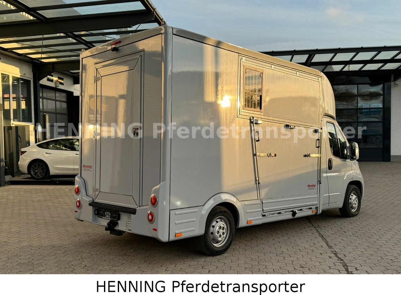 Citroën Jumper 3 - Sitzer - Eläinten kuljetus kuorma-auto: kuva Citroën Jumper 3 - Sitzer - Eläinten kuljetus kuorma-auto Citroën Jumper 3 - Sitzer - Eläinten kuljetus kuorma-auto: kuva Citroën Jumper 3 - Sitzer - Eläinten kuljetus kuorma-auto