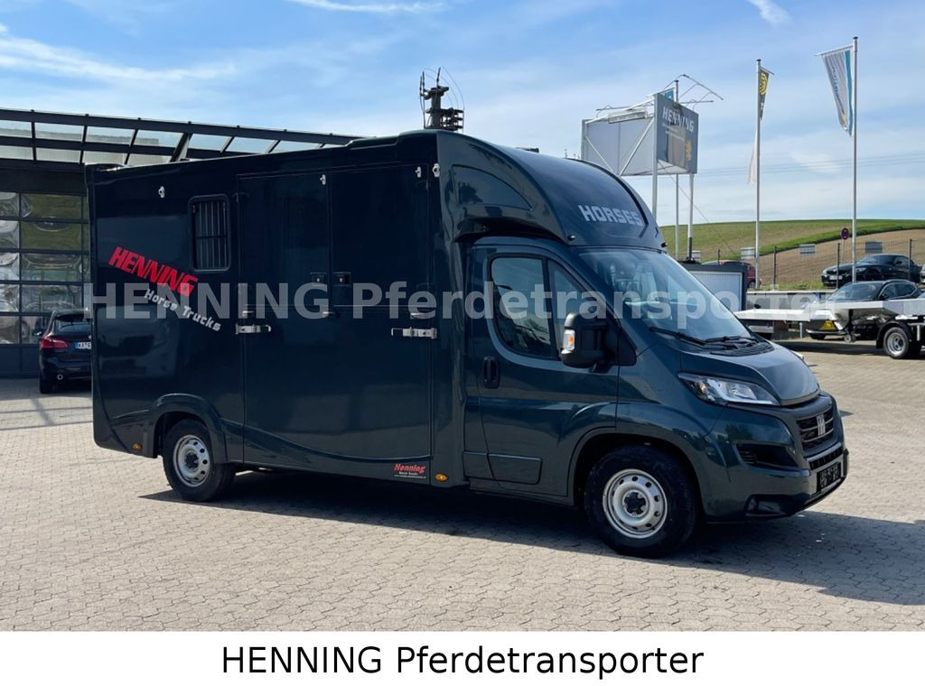 Fiat Ducato 3 - Sitzer *VORFÜHRUNGSFAHRZEUG* - Hevosauto: kuva Fiat Ducato 3 - Sitzer *VORFÜHRUNGSFAHRZEUG* - Hevosauto Fiat Ducato 3 - Sitzer *VORFÜHRUNGSFAHRZEUG* - Hevosauto: kuva Fiat Ducato 3 - Sitzer *VORFÜHRUNGSFAHRZEUG* - Hevosauto