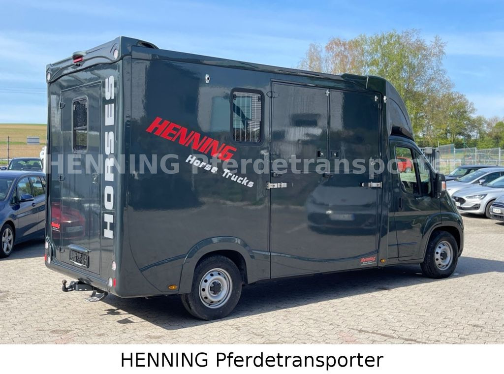 Fiat Ducato 3 - Sitzer *VORFÜHRUNGSFAHRZEUG* - Hevosauto: kuva Fiat Ducato 3 - Sitzer *VORFÜHRUNGSFAHRZEUG* - Hevosauto Fiat Ducato 3 - Sitzer *VORFÜHRUNGSFAHRZEUG* - Hevosauto: kuva Fiat Ducato 3 - Sitzer *VORFÜHRUNGSFAHRZEUG* - Hevosauto
