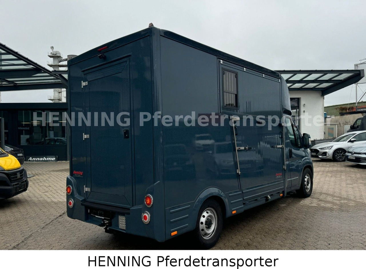 Fiat Ducato *AUTOMATIK* 3 - Sitzer - Eläinten kuljetus kuorma-auto: kuva Fiat Ducato *AUTOMATIK* 3 - Sitzer - Eläinten kuljetus kuorma-auto Fiat Ducato *AUTOMATIK* 3 - Sitzer - Eläinten kuljetus kuorma-auto: kuva Fiat Ducato *AUTOMATIK* 3 - Sitzer - Eläinten kuljetus kuorma-auto
