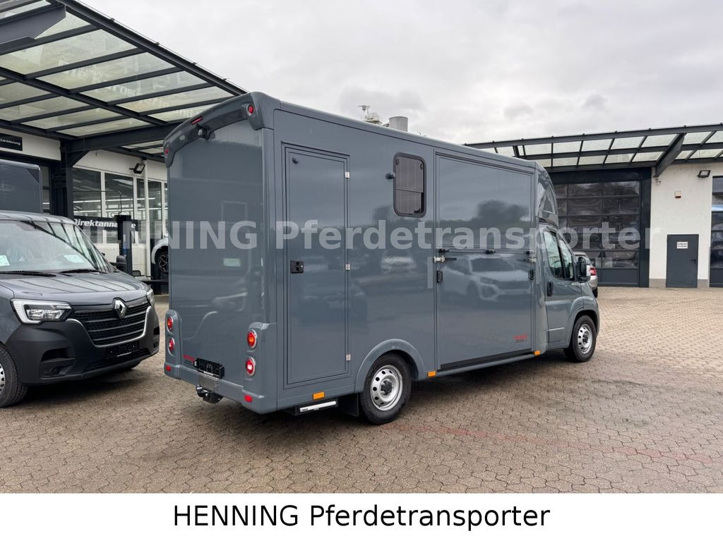 Fiat Ducato *NEUWAGEN* ca.1100 kg Nutzlast - Hevosauto: kuva Fiat Ducato *NEUWAGEN* ca.1100 kg Nutzlast - Hevosauto Fiat Ducato *NEUWAGEN* ca.1100 kg Nutzlast - Hevosauto: kuva Fiat Ducato *NEUWAGEN* ca.1100 kg Nutzlast - Hevosauto