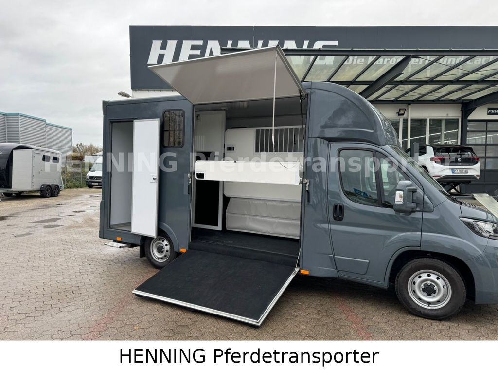 Fiat Ducato *NEUWAGEN* ca.1100 kg Nutzlast - Hevosauto: kuva Fiat Ducato *NEUWAGEN* ca.1100 kg Nutzlast - Hevosauto Fiat Ducato *NEUWAGEN* ca.1100 kg Nutzlast - Hevosauto: kuva Fiat Ducato *NEUWAGEN* ca.1100 kg Nutzlast - Hevosauto
