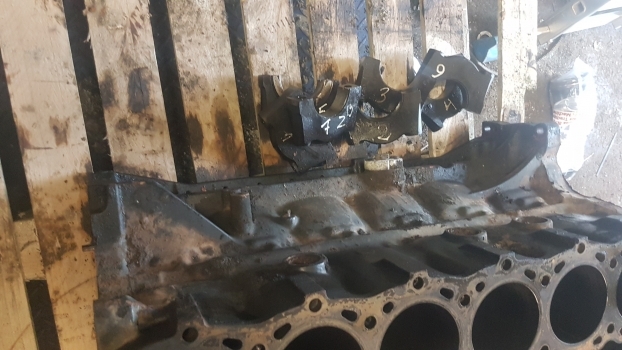 New Holland Case Tm, Mxm 120, 130  Cylinder Block 87802648, 84215970, 87802526 - Sylinterielementit - Traktori: kuva  New Holland Case Tm, Mxm 120, 130  Cylinder Block 87802648, 84215970, 87802526 - Sylinterielementit - Traktori New Holland Case Tm, Mxm 120, 130  Cylinder Block 87802648, 84215970, 87802526 - Sylinterielementit - Traktori: kuva  New Holland Case Tm, Mxm 120, 130  Cylinder Block 87802648, 84215970, 87802526 - Sylinterielementit - Traktori