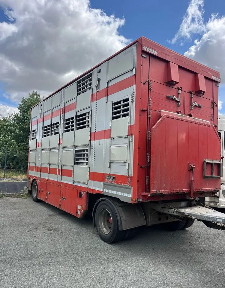 DAF XF 530 + Przyczepa Pezzaoli - 3X Trzoda, 2 X Bydło I 3 poziomy I Podnoszony dach I Hydroburta I Osie Skrętne I Poidła I Wentylatory I Pilot Manualny | - Eläinten kuljetus kuorma-auto: kuva DAF XF 530 + Przyczepa Pezzaoli - 3X Trzoda, 2 X Bydło I 3 poziomy I Podnoszony dach I Hydroburta I Osie Skrętne I Poidła I Wentylatory I Pilot Manualny | - Eläinten kuljetus kuorma-auto DAF XF 530 + Przyczepa Pezzaoli - 3X Trzoda, 2 X Bydło I 3 poziomy I Podnoszony dach I Hydroburta I Osie Skrętne I Poidła I Wentylatory I Pilot Manualny | - Eläinten kuljetus kuorma-auto: kuva DAF XF 530 + Przyczepa Pezzaoli - 3X Trzoda, 2 X Bydło I 3 poziomy I Podnoszony dach I Hydroburta I Osie Skrętne I Poidła I Wentylatory I Pilot Manualny | - Eläinten kuljetus kuorma-auto