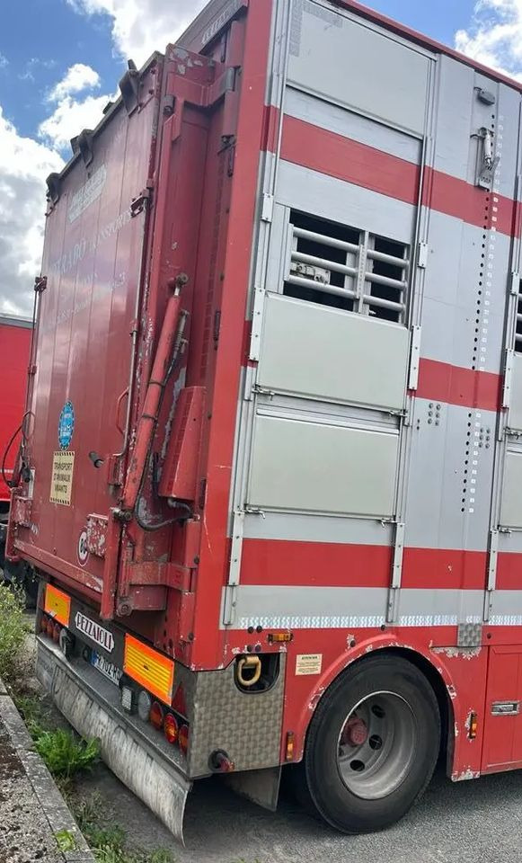 DAF XF 530 + Przyczepa Pezzaoli - 3X Trzoda, 2 X Bydło I 3 poziomy I Podnoszony dach I Hydroburta I Osie Skrętne I Poidła I Wentylatory I Pilot Manualny | - Eläinten kuljetus kuorma-auto: kuva DAF XF 530 + Przyczepa Pezzaoli - 3X Trzoda, 2 X Bydło I 3 poziomy I Podnoszony dach I Hydroburta I Osie Skrętne I Poidła I Wentylatory I Pilot Manualny | - Eläinten kuljetus kuorma-auto DAF XF 530 + Przyczepa Pezzaoli - 3X Trzoda, 2 X Bydło I 3 poziomy I Podnoszony dach I Hydroburta I Osie Skrętne I Poidła I Wentylatory I Pilot Manualny | - Eläinten kuljetus kuorma-auto: kuva DAF XF 530 + Przyczepa Pezzaoli - 3X Trzoda, 2 X Bydło I 3 poziomy I Podnoszony dach I Hydroburta I Osie Skrętne I Poidła I Wentylatory I Pilot Manualny | - Eläinten kuljetus kuorma-auto