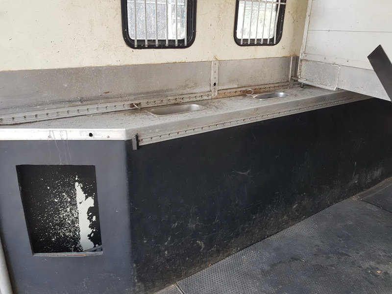 Leasing DAF 95.350 Paardenwagen met zitverblijf 7 paarden 7 horses DAF 95.350 Paardenwagen met zitverblijf 7 paarden 7 horses: kuva Leasing DAF 95.350 Paardenwagen met zitverblijf 7 paarden 7 horses DAF 95.350 Paardenwagen met zitverblijf 7 paarden 7 horses