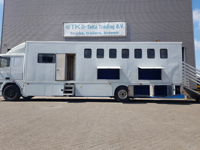Leasing DAF 95.350 Paardenwagen met zitverblijf 7 paarden 7 horses DAF 95.350 Paardenwagen met zitverblijf 7 paarden 7 horses: kuva Leasing DAF 95.350 Paardenwagen met zitverblijf 7 paarden 7 horses DAF 95.350 Paardenwagen met zitverblijf 7 paarden 7 horses