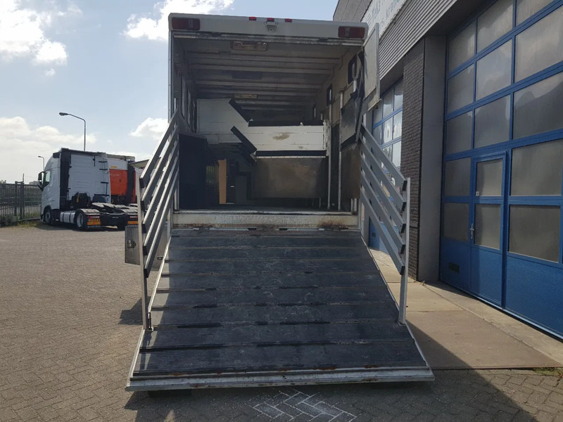 Leasing DAF 95.350 Paardenwagen met zitverblijf 7 paarden 7 horses DAF 95.350 Paardenwagen met zitverblijf 7 paarden 7 horses: kuva Leasing DAF 95.350 Paardenwagen met zitverblijf 7 paarden 7 horses DAF 95.350 Paardenwagen met zitverblijf 7 paarden 7 horses