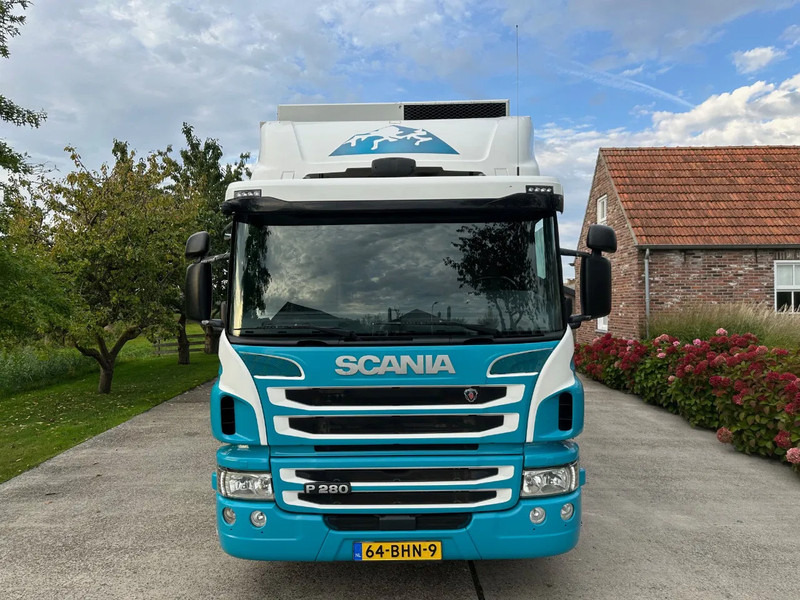 Scania P280 / NL TRUCK / FRIGOBLOCK FK 13(2019) / 2000kg LIFT / TOPCONDITION!! - Refrigeraattori kuorma-auto: kuva Scania P280 / NL TRUCK / FRIGOBLOCK FK 13(2019) / 2000kg LIFT / TOPCONDITION!! - Refrigeraattori kuorma-auto Scania P280 / NL TRUCK / FRIGOBLOCK FK 13(2019) / 2000kg LIFT / TOPCONDITION!! - Refrigeraattori kuorma-auto: kuva Scania P280 / NL TRUCK / FRIGOBLOCK FK 13(2019) / 2000kg LIFT / TOPCONDITION!! - Refrigeraattori kuorma-auto