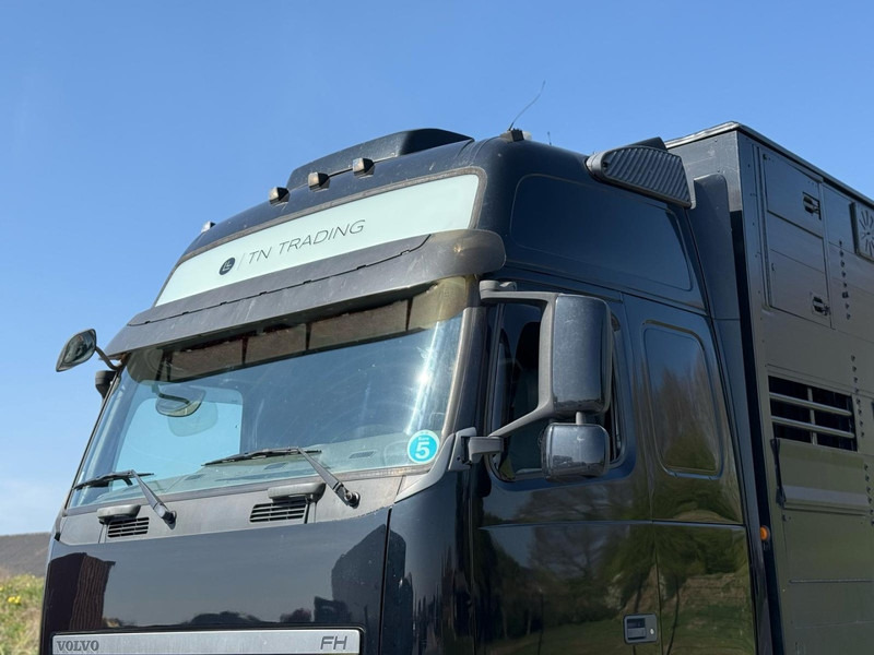Volvo FH 13.540 STEERING, RETARDER, DOUBLE FLOOR, LIVE STOCK. - Eläinten kuljetus kuorma-auto: kuva Volvo FH 13.540 STEERING, RETARDER, DOUBLE FLOOR, LIVE STOCK. - Eläinten kuljetus kuorma-auto Volvo FH 13.540 STEERING, RETARDER, DOUBLE FLOOR, LIVE STOCK. - Eläinten kuljetus kuorma-auto: kuva Volvo FH 13.540 STEERING, RETARDER, DOUBLE FLOOR, LIVE STOCK. - Eläinten kuljetus kuorma-auto