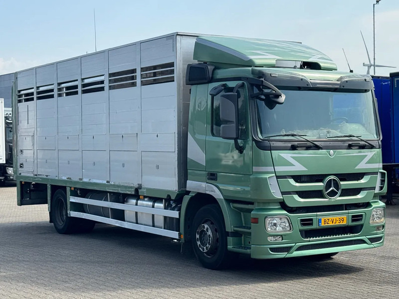 Mercedes-Benz Actros 1832 L 1 - 2 Stock Animal Transport - Eläinten kuljetus kuorma-auto: kuva Mercedes-Benz Actros 1832 L 1 - 2 Stock Animal Transport - Eläinten kuljetus kuorma-auto Mercedes-Benz Actros 1832 L 1 - 2 Stock Animal Transport - Eläinten kuljetus kuorma-auto: kuva Mercedes-Benz Actros 1832 L 1 - 2 Stock Animal Transport - Eläinten kuljetus kuorma-auto