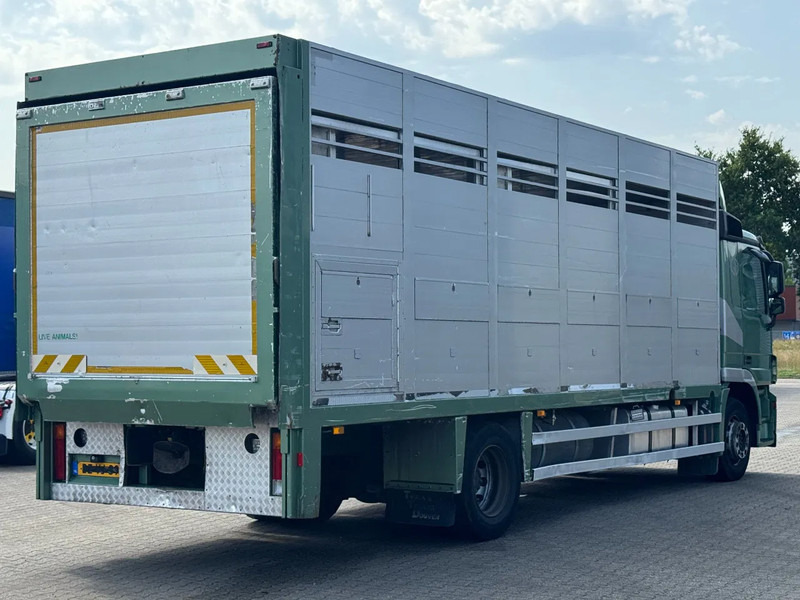 Mercedes-Benz Actros 1832 L 1 - 2 Stock Animal Transport - Eläinten kuljetus kuorma-auto: kuva Mercedes-Benz Actros 1832 L 1 - 2 Stock Animal Transport - Eläinten kuljetus kuorma-auto Mercedes-Benz Actros 1832 L 1 - 2 Stock Animal Transport - Eläinten kuljetus kuorma-auto: kuva Mercedes-Benz Actros 1832 L 1 - 2 Stock Animal Transport - Eläinten kuljetus kuorma-auto