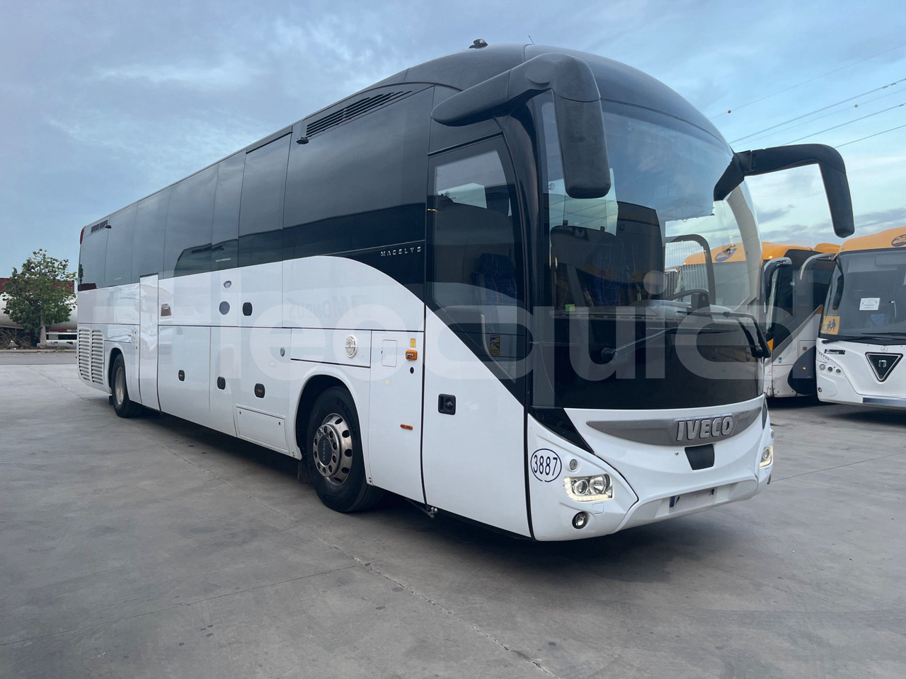 Iveco Magelys - Turistibussi: kuva Iveco Magelys - Turistibussi Iveco Magelys - Turistibussi: kuva Iveco Magelys - Turistibussi