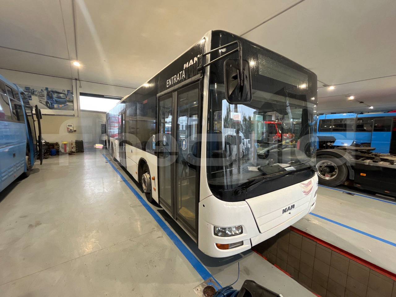 Man A37 - Linja-auto: kuva Man A37 - Linja-auto Man A37 - Linja-auto: kuva Man A37 - Linja-auto