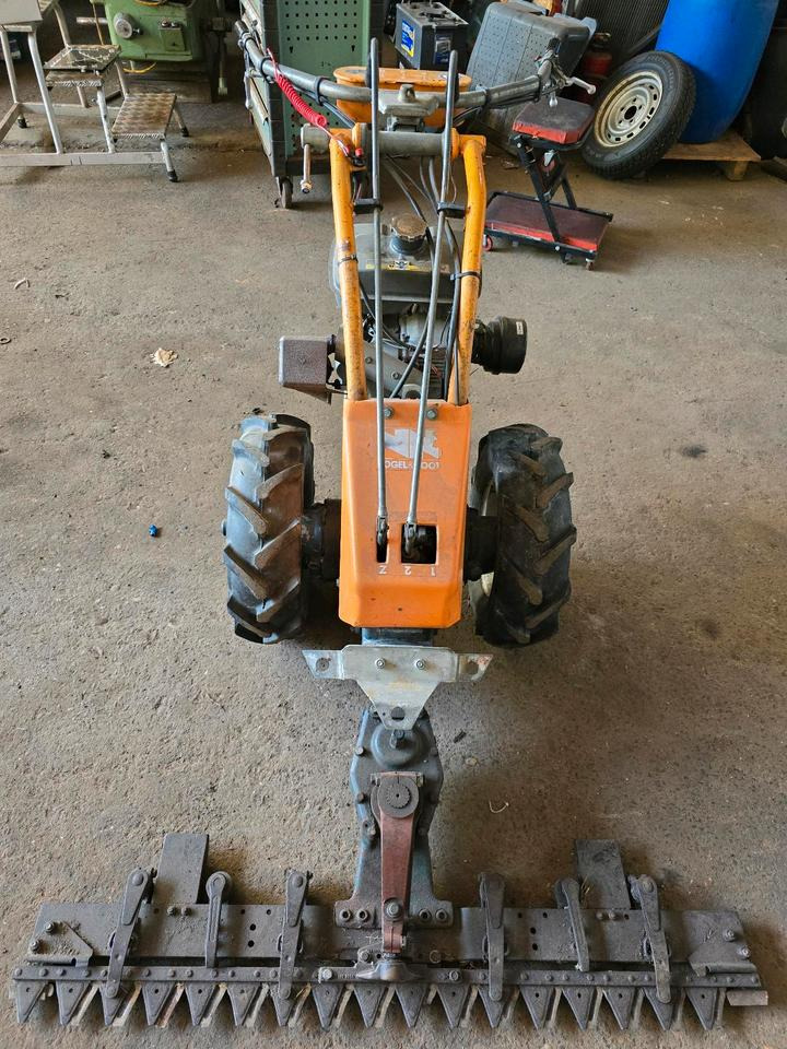 Vogel und Not Balkenmäher Hangmäher Böschungsmäher Mähbalken Rapid Reform Mulcher - Ruohonleikkuri: kuva Vogel und Not Balkenmäher Hangmäher Böschungsmäher Mähbalken Rapid Reform Mulcher - Ruohonleikkuri Vogel und Not Balkenmäher Hangmäher Böschungsmäher Mähbalken Rapid Reform Mulcher - Ruohonleikkuri: kuva Vogel und Not Balkenmäher Hangmäher Böschungsmäher Mähbalken Rapid Reform Mulcher - Ruohonleikkuri