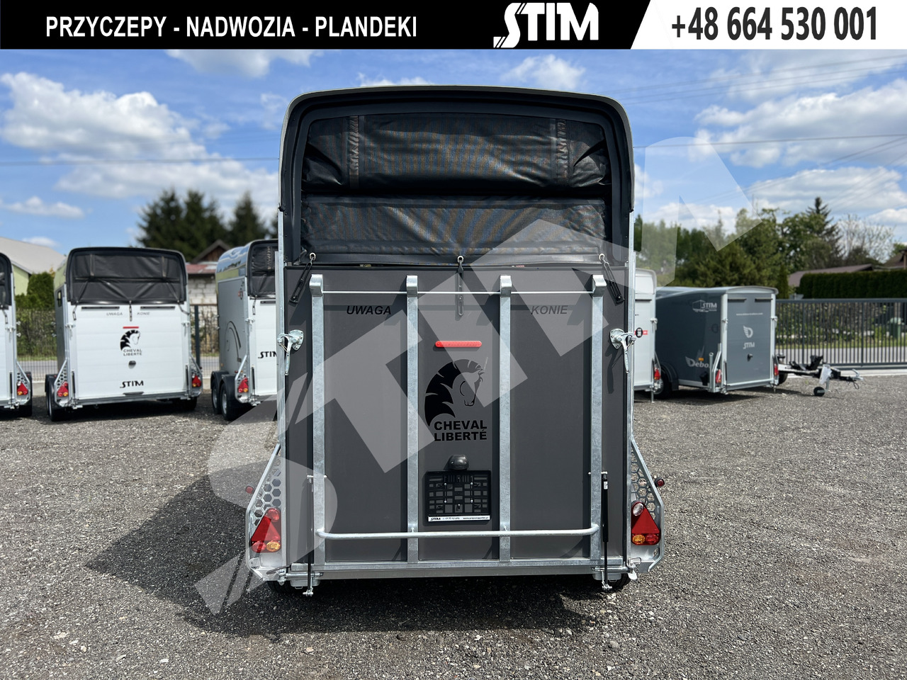 Cheval Liberté GOLD ORIGINS PODŁOGA ALU, BOKI SKLEJKA PPL - Hevostraileri: kuva Cheval Liberté GOLD ORIGINS PODŁOGA ALU, BOKI SKLEJKA PPL - Hevostraileri Cheval Liberté GOLD ORIGINS PODŁOGA ALU, BOKI SKLEJKA PPL - Hevostraileri: kuva Cheval Liberté GOLD ORIGINS PODŁOGA ALU, BOKI SKLEJKA PPL - Hevostraileri