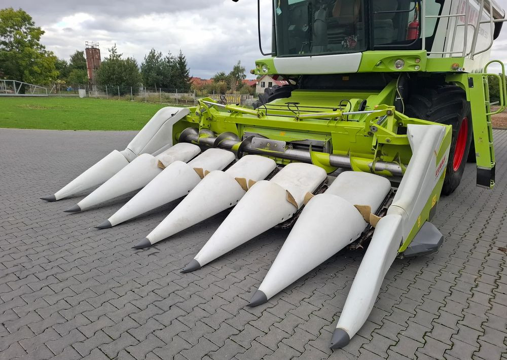 Claas CONSPEED 6-75 2012 Rok Przystawka do Kukurydzy , Nie Malowana, Stan Idealny - Leikkuupöytä - maissi: kuva Claas CONSPEED 6-75 2012 Rok Przystawka do Kukurydzy , Nie Malowana, Stan Idealny - Leikkuupöytä - maissi Claas CONSPEED 6-75 2012 Rok Przystawka do Kukurydzy , Nie Malowana, Stan Idealny - Leikkuupöytä - maissi: kuva Claas CONSPEED 6-75 2012 Rok Przystawka do Kukurydzy , Nie Malowana, Stan Idealny - Leikkuupöytä - maissi
