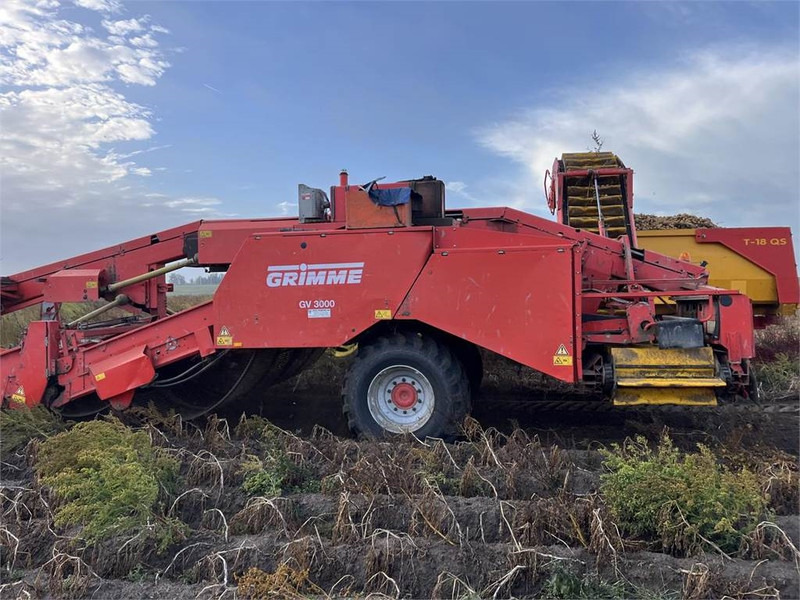 Grimme GV 3000 - Perunannostokone: kuva Grimme GV 3000 - Perunannostokone Grimme GV 3000 - Perunannostokone: kuva Grimme GV 3000 - Perunannostokone