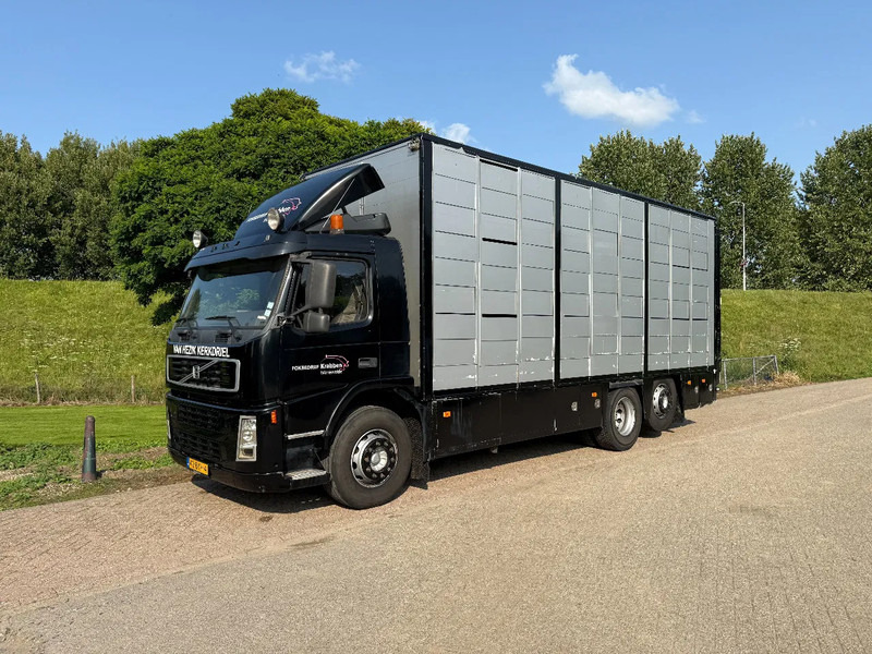 Volvo FM 300 Livestock Cuppers 3 laags 6x2 - Eläinten kuljetus kuorma-auto: kuva Volvo FM 300 Livestock Cuppers 3 laags 6x2 - Eläinten kuljetus kuorma-auto Volvo FM 300 Livestock Cuppers 3 laags 6x2 - Eläinten kuljetus kuorma-auto: kuva Volvo FM 300 Livestock Cuppers 3 laags 6x2 - Eläinten kuljetus kuorma-auto
