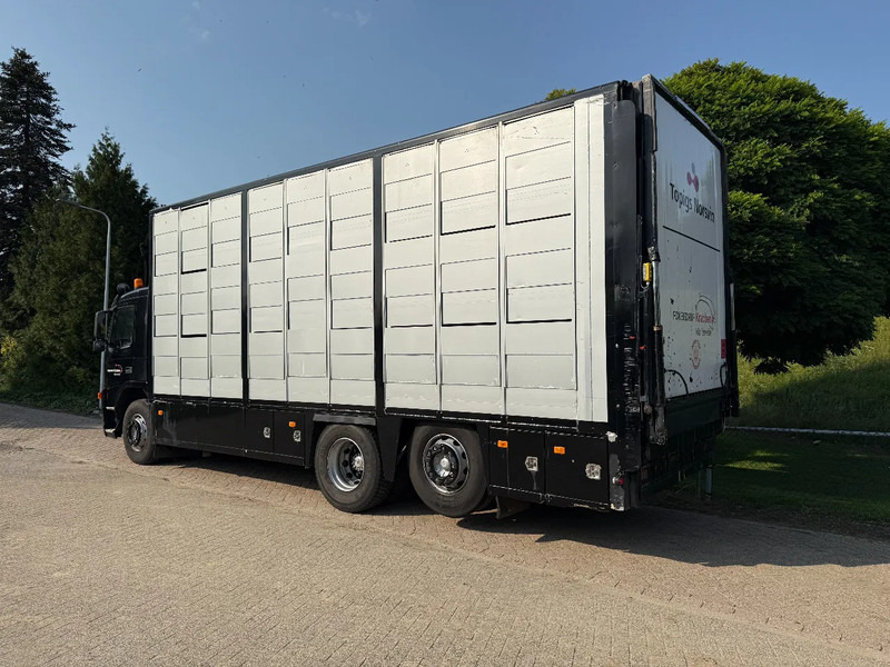 Volvo FM 300 Livestock Cuppers 3 laags 6x2 - Eläinten kuljetus kuorma-auto: kuva Volvo FM 300 Livestock Cuppers 3 laags 6x2 - Eläinten kuljetus kuorma-auto Volvo FM 300 Livestock Cuppers 3 laags 6x2 - Eläinten kuljetus kuorma-auto: kuva Volvo FM 300 Livestock Cuppers 3 laags 6x2 - Eläinten kuljetus kuorma-auto