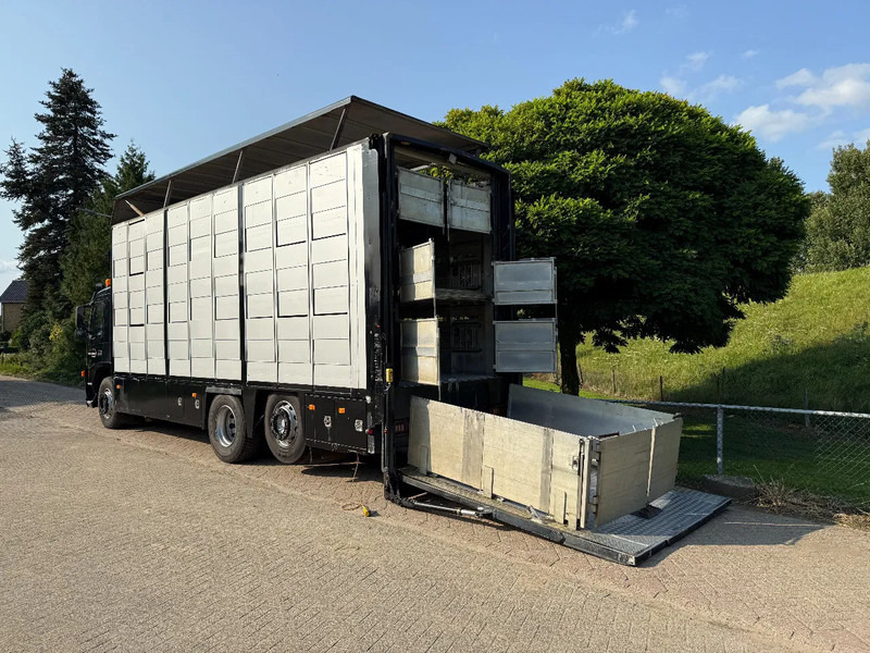 Volvo FM 300 Livestock Cuppers 3 laags 6x2 - Eläinten kuljetus kuorma-auto: kuva Volvo FM 300 Livestock Cuppers 3 laags 6x2 - Eläinten kuljetus kuorma-auto Volvo FM 300 Livestock Cuppers 3 laags 6x2 - Eläinten kuljetus kuorma-auto: kuva Volvo FM 300 Livestock Cuppers 3 laags 6x2 - Eläinten kuljetus kuorma-auto