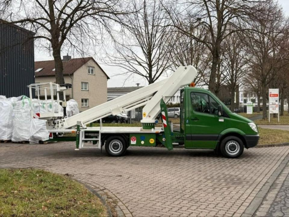 Arbeitsbühne Hubsteiger Hebebühne Mieten Leihen 3,5t 22m - Itsekulkevat henkilönostimet: kuva Arbeitsbühne Hubsteiger Hebebühne Mieten Leihen 3,5t 22m - Itsekulkevat henkilönostimet Arbeitsbühne Hubsteiger Hebebühne Mieten Leihen 3,5t 22m - Itsekulkevat henkilönostimet: kuva Arbeitsbühne Hubsteiger Hebebühne Mieten Leihen 3,5t 22m - Itsekulkevat henkilönostimet