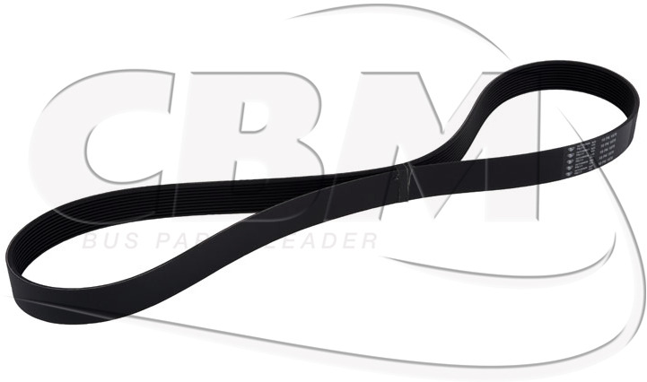 HUTCHINSON ALTERNATOR BELT - MERCEDES MAN (A0003531720 | 81351070056) - Hihna - Bussi: kuva HUTCHINSON ALTERNATOR BELT - MERCEDES MAN (A0003531720 | 81351070056) - Hihna - Bussi HUTCHINSON ALTERNATOR BELT - MERCEDES MAN (A0003531720 | 81351070056) - Hihna - Bussi: kuva HUTCHINSON ALTERNATOR BELT - MERCEDES MAN (A0003531720 | 81351070056) - Hihna - Bussi