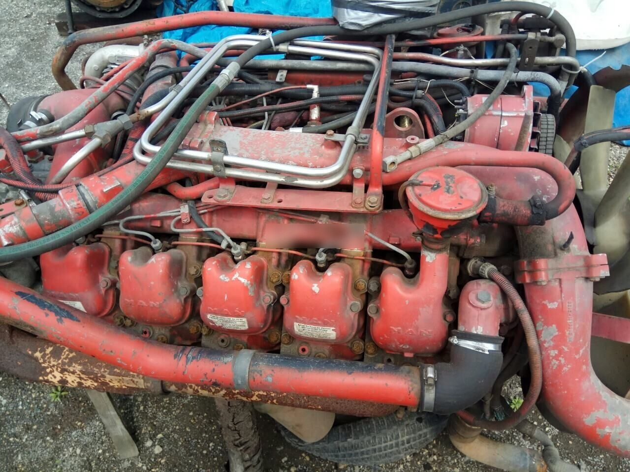 MAN D2840 LF01 MAN F90 - Moottori - Kuorma-auto: kuva MAN D2840 LF01 MAN F90 - Moottori - Kuorma-auto MAN D2840 LF01 MAN F90 - Moottori - Kuorma-auto: kuva MAN D2840 LF01 MAN F90 - Moottori - Kuorma-auto