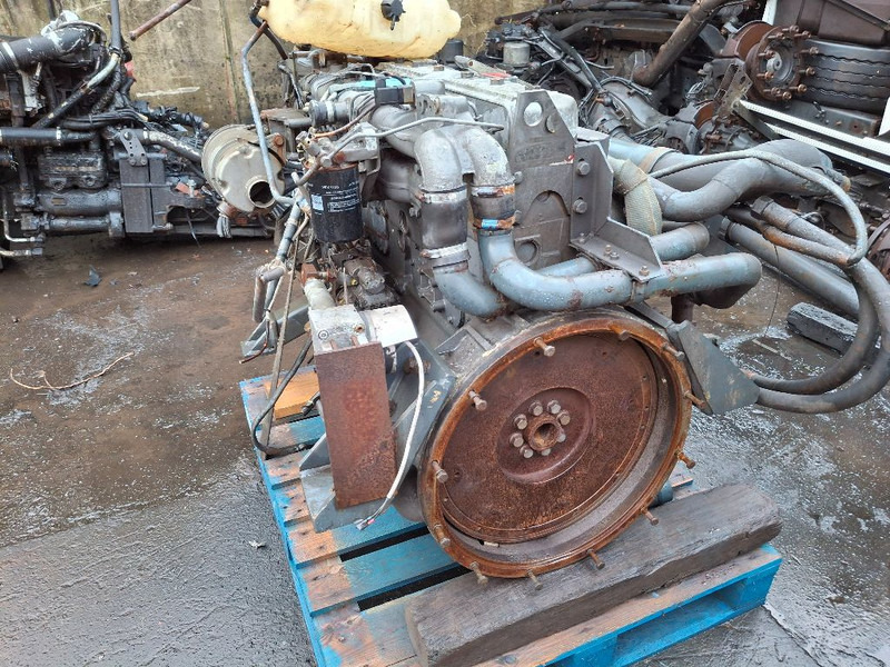 DAF RS180M (75CF) - Moottori: kuva DAF RS180M (75CF) - Moottori DAF RS180M (75CF) - Moottori: kuva DAF RS180M (75CF) - Moottori