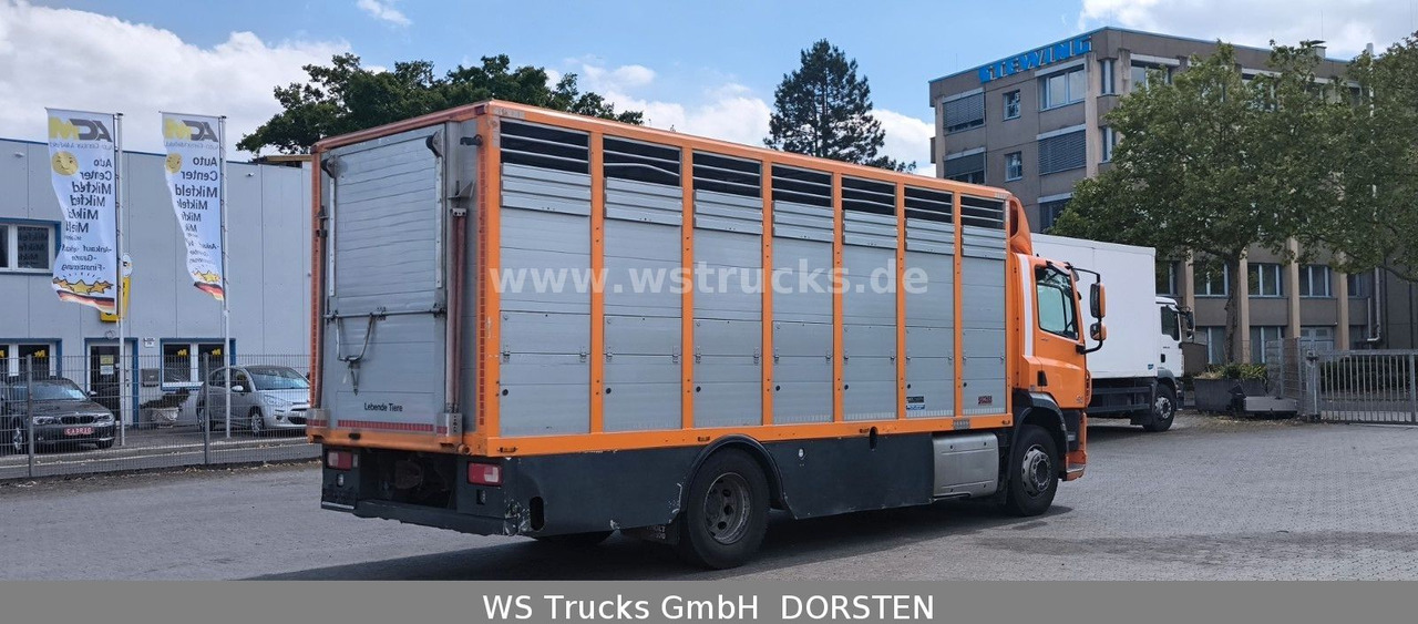 DAF CF 400 Menke Einstock Viehtransporter - Hevosauto: kuva DAF CF 400 Menke Einstock Viehtransporter - Hevosauto DAF CF 400 Menke Einstock Viehtransporter - Hevosauto: kuva DAF CF 400 Menke Einstock Viehtransporter - Hevosauto