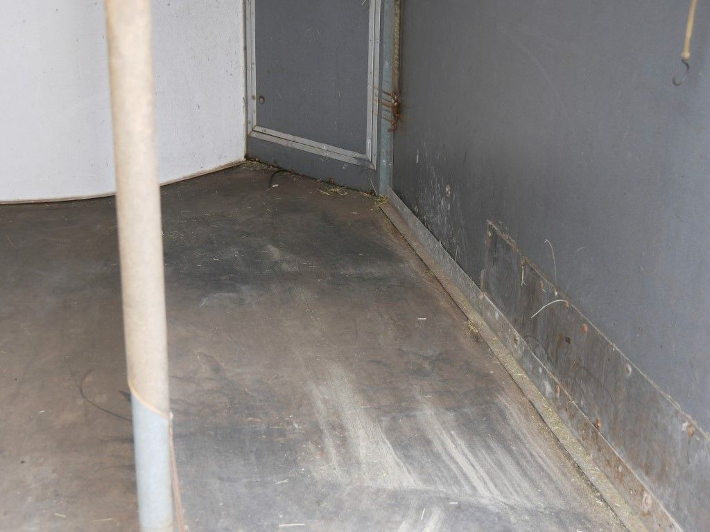 Westeria 2 Pferde - Hevostraileri: kuva Westeria 2 Pferde - Hevostraileri Westeria 2 Pferde - Hevostraileri: kuva Westeria 2 Pferde - Hevostraileri