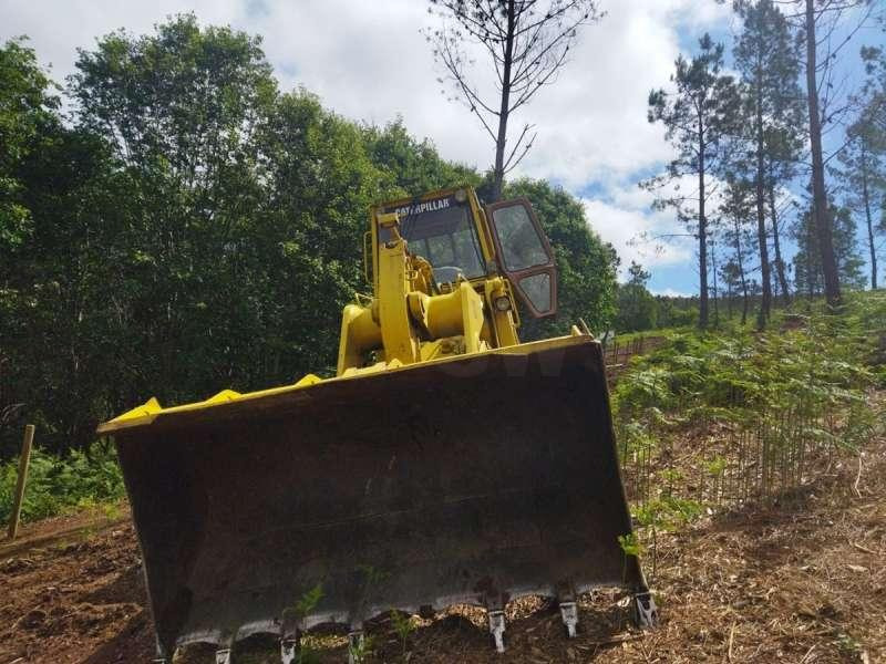 Caterpillar Chargeur sur Chenilles 963 - Telakuormaaja: kuva Caterpillar Chargeur sur Chenilles 963 - Telakuormaaja Caterpillar Chargeur sur Chenilles 963 - Telakuormaaja: kuva Caterpillar Chargeur sur Chenilles 963 - Telakuormaaja