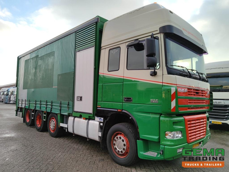 DAF FAK XF95.430 8x2 SuperSpaceCab Euro3 - CurtainSider 7.31m + Ramp 16T - MachineTransporter - 6 Persons  (V558) - Kuljetin kuorma-auto: kuva DAF FAK XF95.430 8x2 SuperSpaceCab Euro3 - CurtainSider 7.31m + Ramp 16T - MachineTransporter - 6 Persons  (V558) - Kuljetin kuorma-auto DAF FAK XF95.430 8x2 SuperSpaceCab Euro3 - CurtainSider 7.31m + Ramp 16T - MachineTransporter - 6 Persons  (V558) - Kuljetin kuorma-auto: kuva DAF FAK XF95.430 8x2 SuperSpaceCab Euro3 - CurtainSider 7.31m + Ramp 16T - MachineTransporter - 6 Persons  (V558) - Kuljetin kuorma-auto