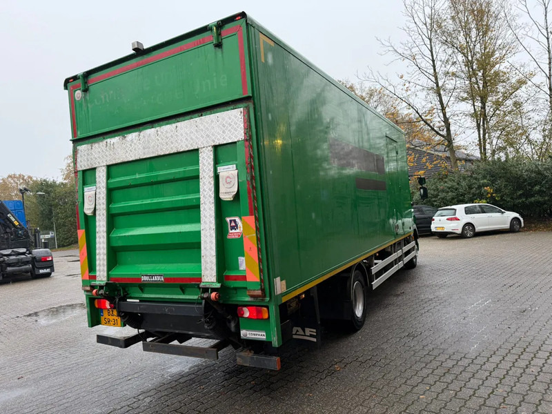 DAF LF 55.180 7.3M Koffer 1500KG LBW Zijdeur NL Truck - Umpikori kuorma-auto: kuva DAF LF 55.180 7.3M Koffer 1500KG LBW Zijdeur NL Truck - Umpikori kuorma-auto DAF LF 55.180 7.3M Koffer 1500KG LBW Zijdeur NL Truck - Umpikori kuorma-auto: kuva DAF LF 55.180 7.3M Koffer 1500KG LBW Zijdeur NL Truck - Umpikori kuorma-auto