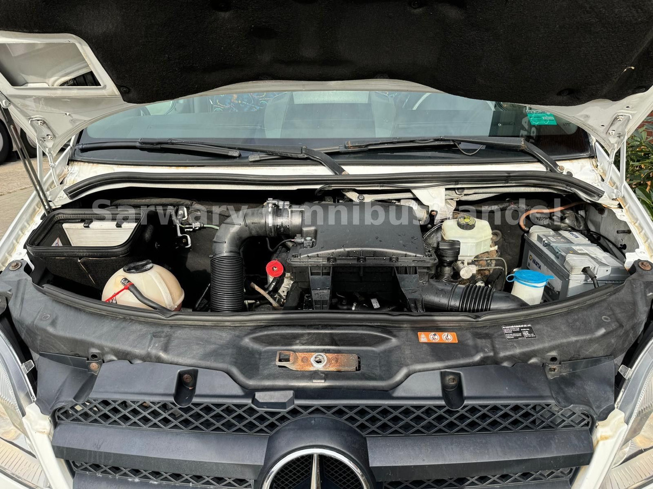 Minibussi, Pikkubussi Mercedes-Benz 516 CDI Sprinter*Euro 5* Klima*17 Sitze*Lift*519: kuva Minibussi, Pikkubussi Mercedes-Benz 516 CDI Sprinter*Euro 5* Klima*17 Sitze*Lift*519 Minibussi, Pikkubussi Mercedes-Benz 516 CDI Sprinter*Euro 5* Klima*17 Sitze*Lift*519: kuva Minibussi, Pikkubussi Mercedes-Benz 516 CDI Sprinter*Euro 5* Klima*17 Sitze*Lift*519