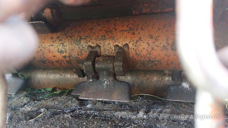 Leasing Berti TRINCIARGINI WING 250 Berti TRINCIARGINI WING 250: kuva Leasing Berti TRINCIARGINI WING 250 Berti TRINCIARGINI WING 250